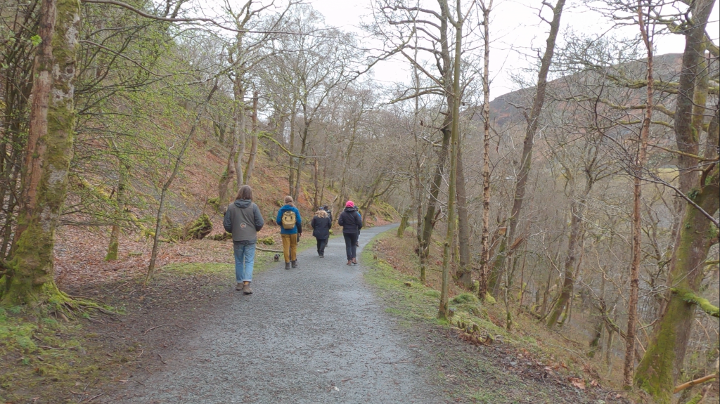 A group of people walk along a path in a forest, shot from behind